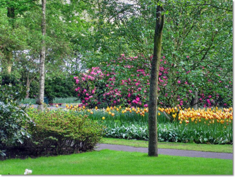 Holland (141)1.jpg